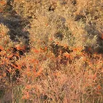 公寓 Reet-maisonete-hausteil-sonnenkamp Groß Zicker