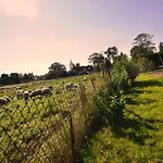 شقة Reet-maisonete-hausteil-sonnenkamp