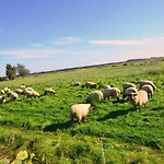 شقة Reet-maisonete-hausteil-sonnenkamp *