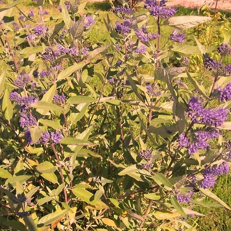 Apartamento Reet-maisonete-hausteil-sonnenkamp Groß Zicker