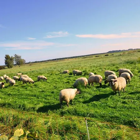 Apartamento Reet-maisonete-hausteil-sonnenkamp *